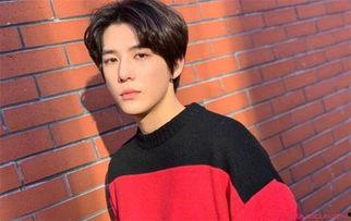 王安宇爆料者视频,事件背后惊人真相 第1张 王安宇爆料者视频,事件背后惊人真相 第1张