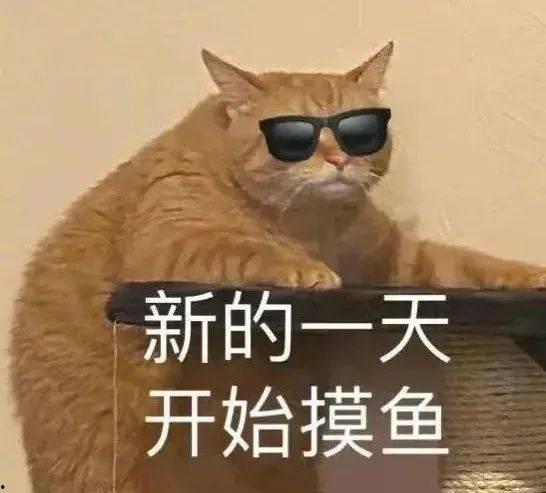 国美爆料员工摸鱼视频,内部管理问题引发热议